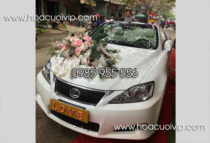 Cho Thuê Xe Cưới Lexus IS250c Mui Trần Trắng tại Hà Nội